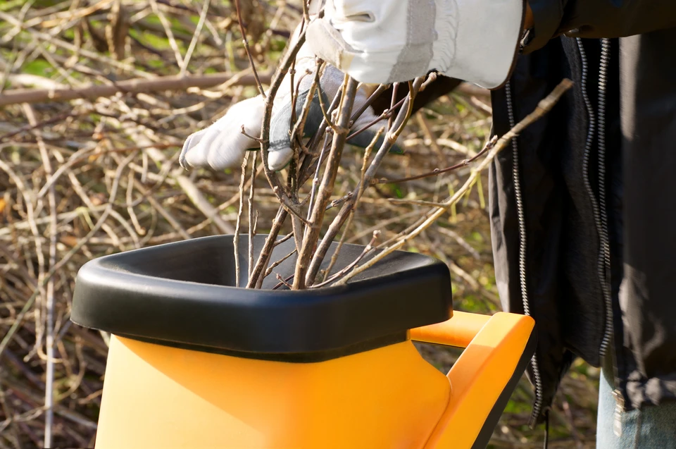 Extérieur, jardin en fin d'hiver, personne en gants blancs tenant branchages secs au-dessus d'un broyeur de végétaux orange